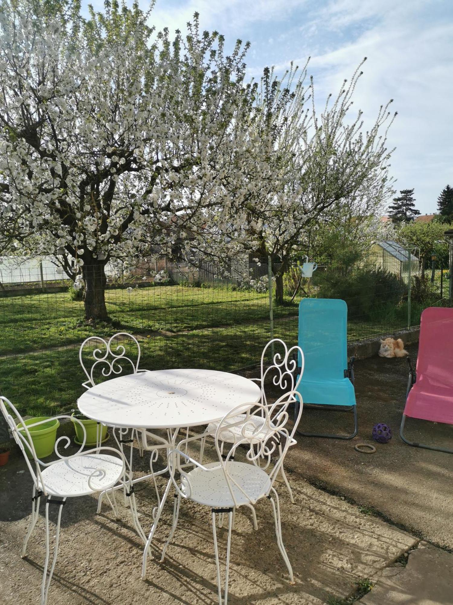 Maison Les 3 Roses Wolfisheim Extérieur photo
